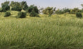 AGT 7 mm Medium Green Static Grass