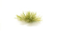 AGT Light Green Tufts