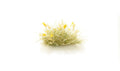 AGT Yellow Seed Tufts