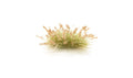 AGT Brown Seed Tufts