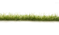 AGT Dark Green Edging