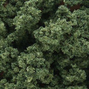Clump-Foilage Medium Green/1qt