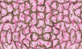 Pink Camo Custom Body Skin